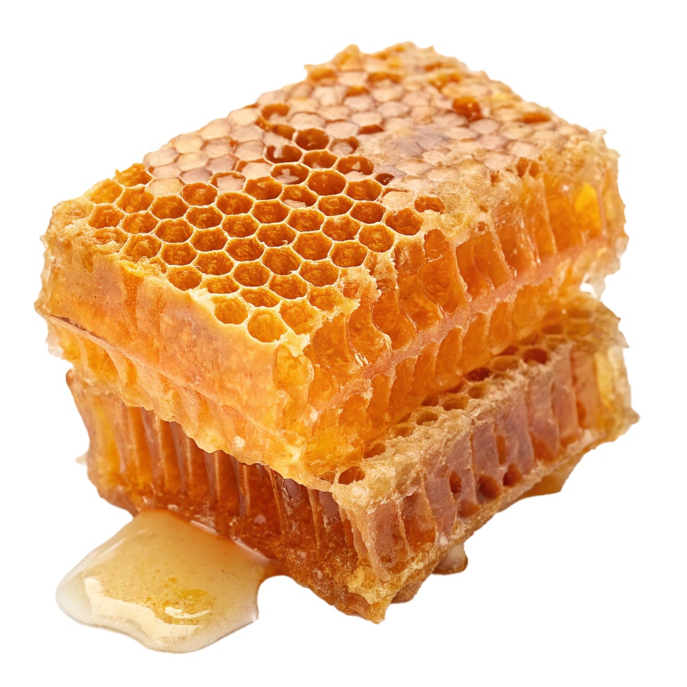 Honeycomb isolated on transparent background png