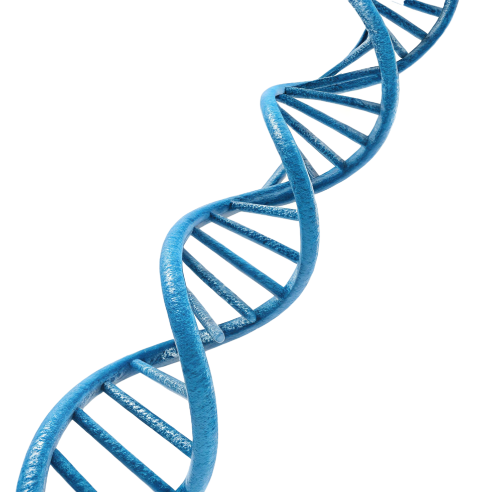 Realistic 3d blue DNA helix sequence element png