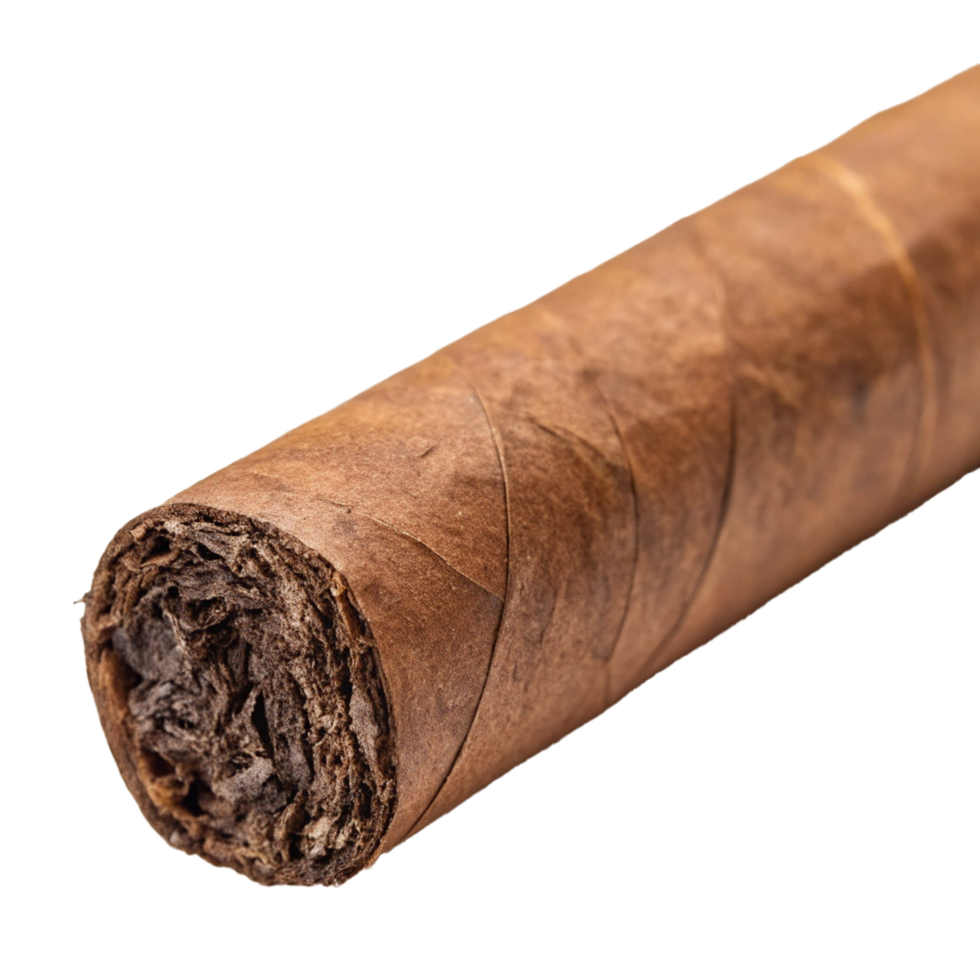 A closeup shot of a partially smoked cigar png