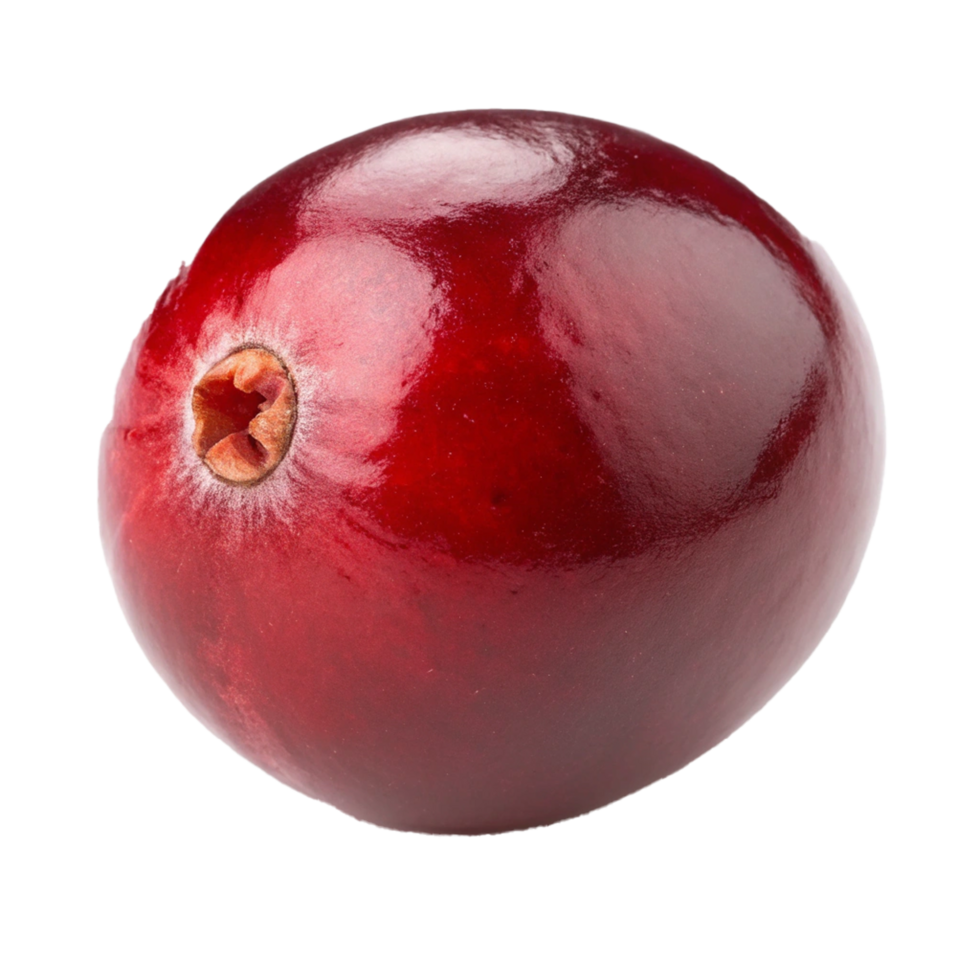 Cranberry isolated on transparent background png