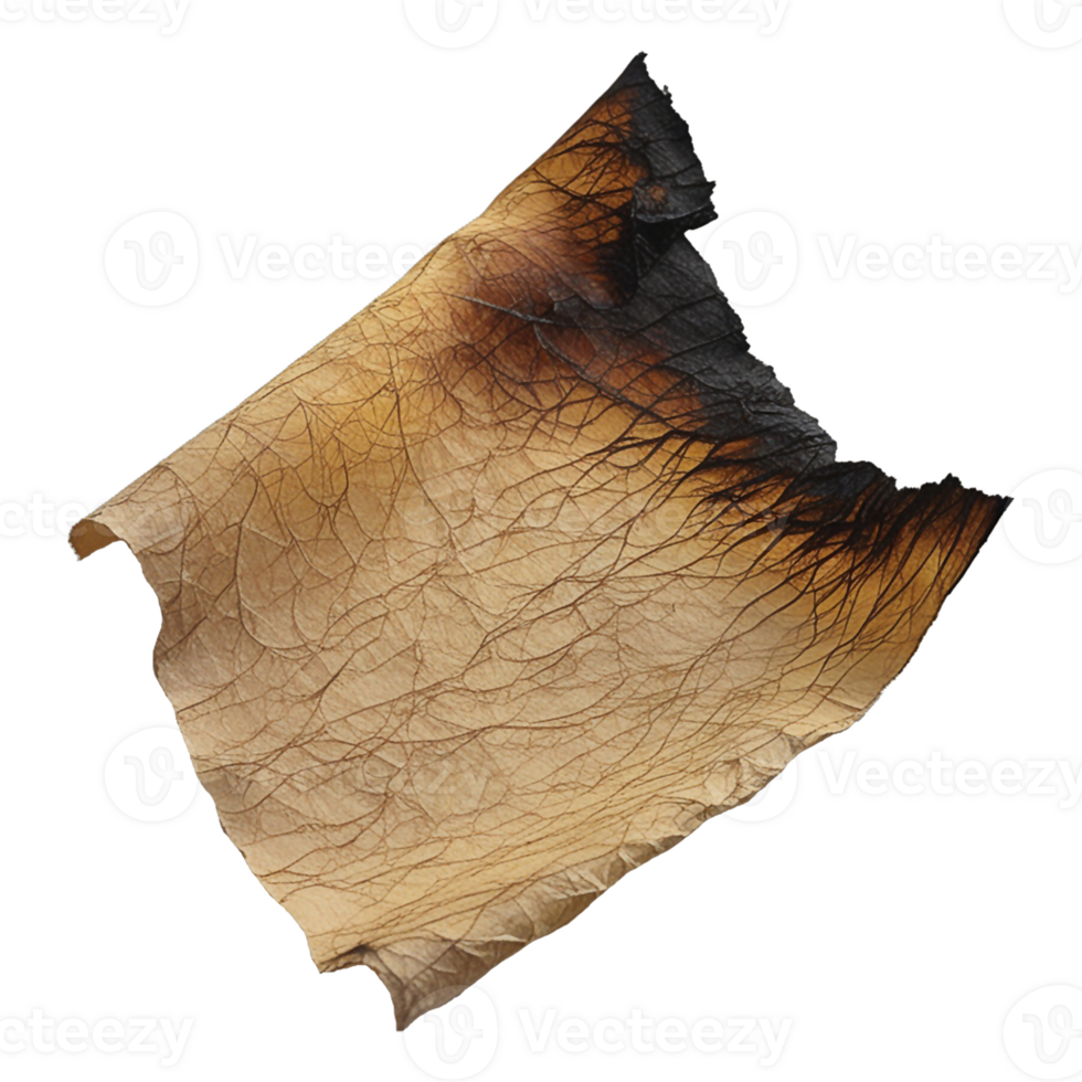 Burnt piece of paper on a transparent background png