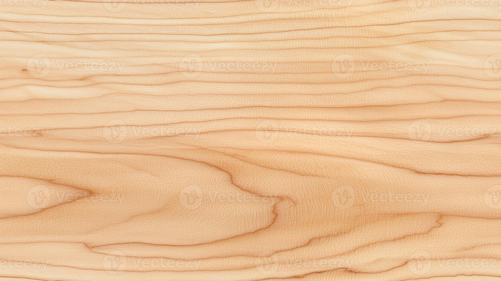 Seamless Wooden texture. Maple timber texture with neutral and rustic style. photo