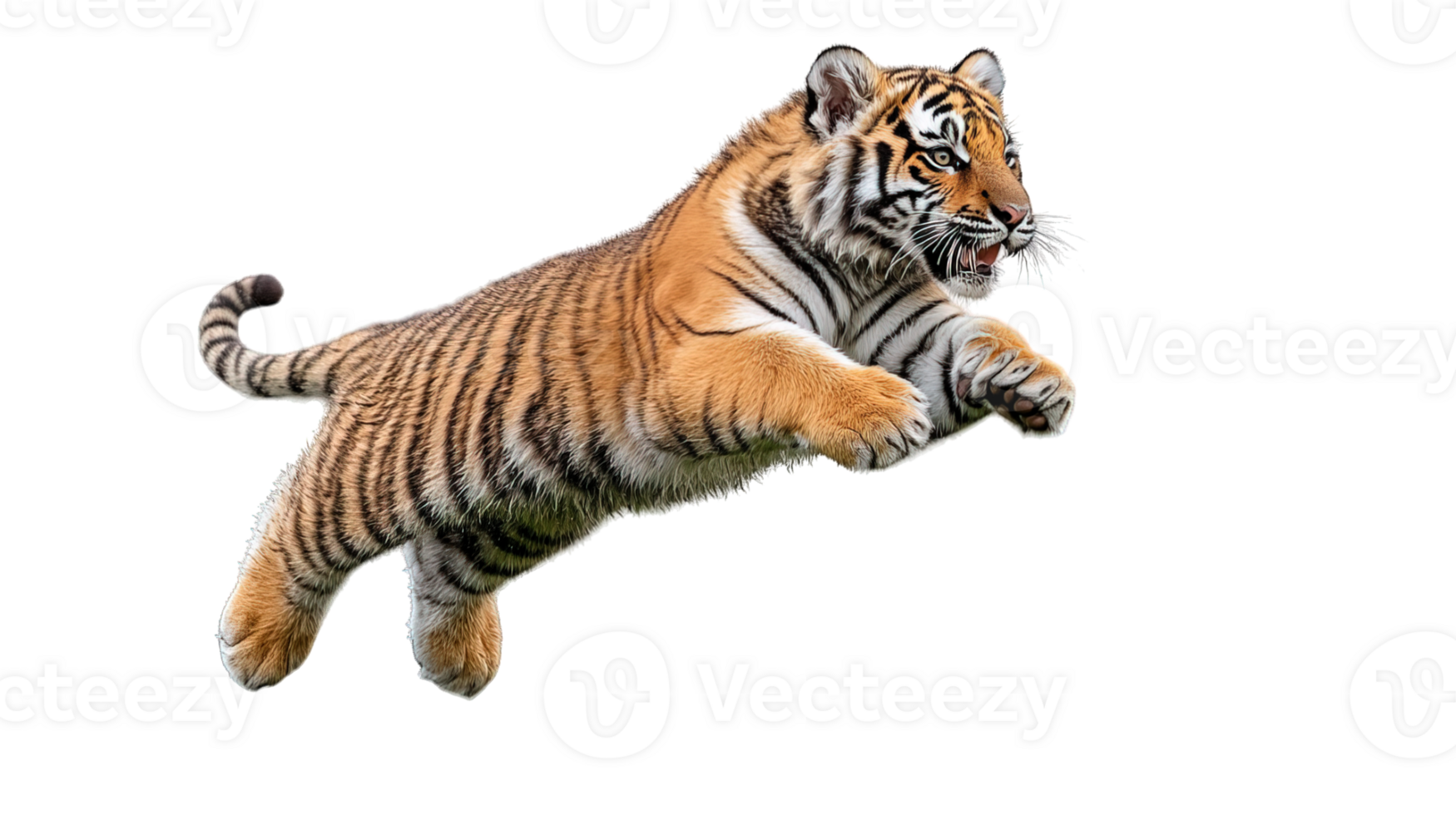 side view tiger jumping on transparent background png