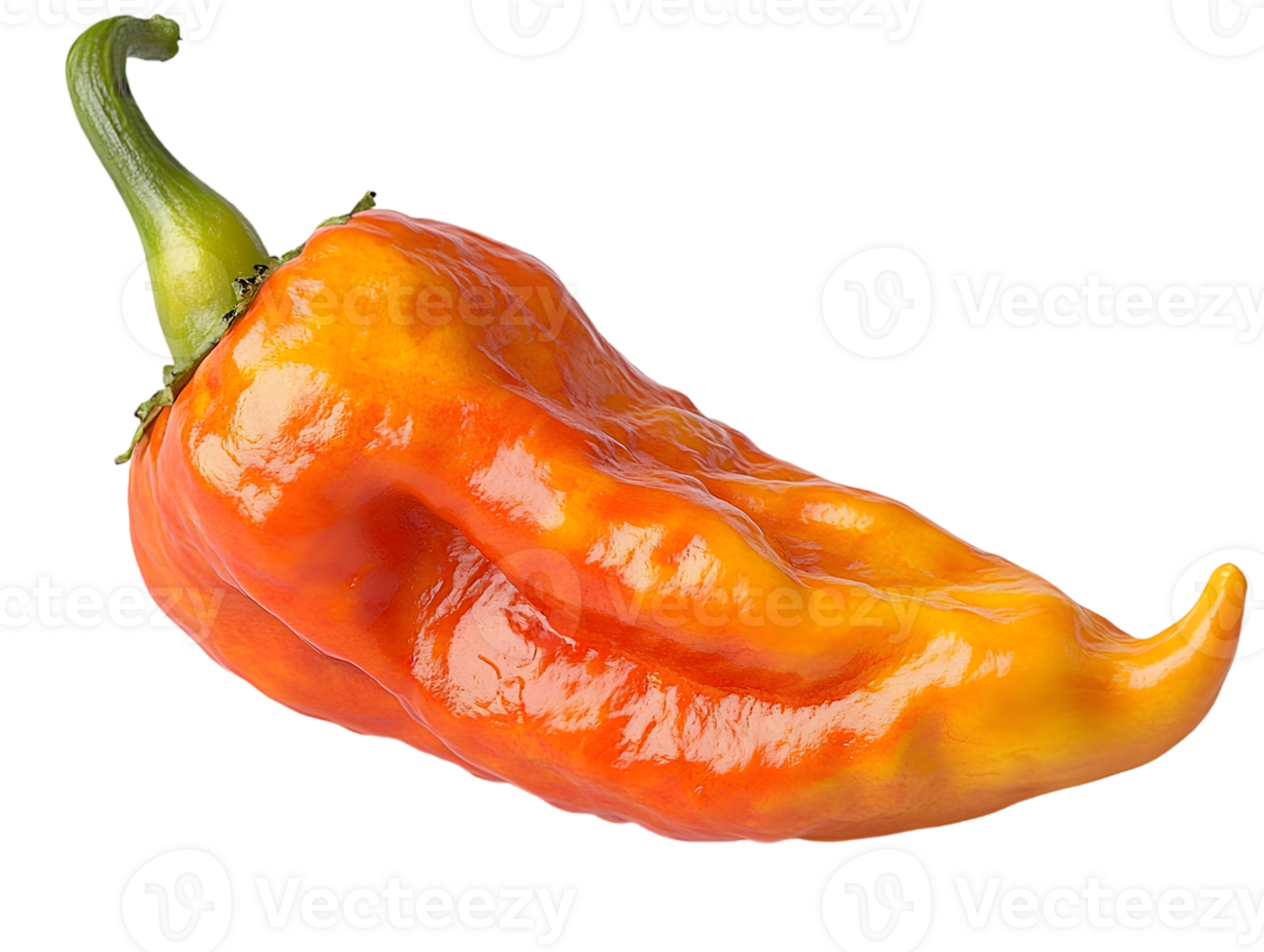 Closeup Of Single Orange And Red Pepper png