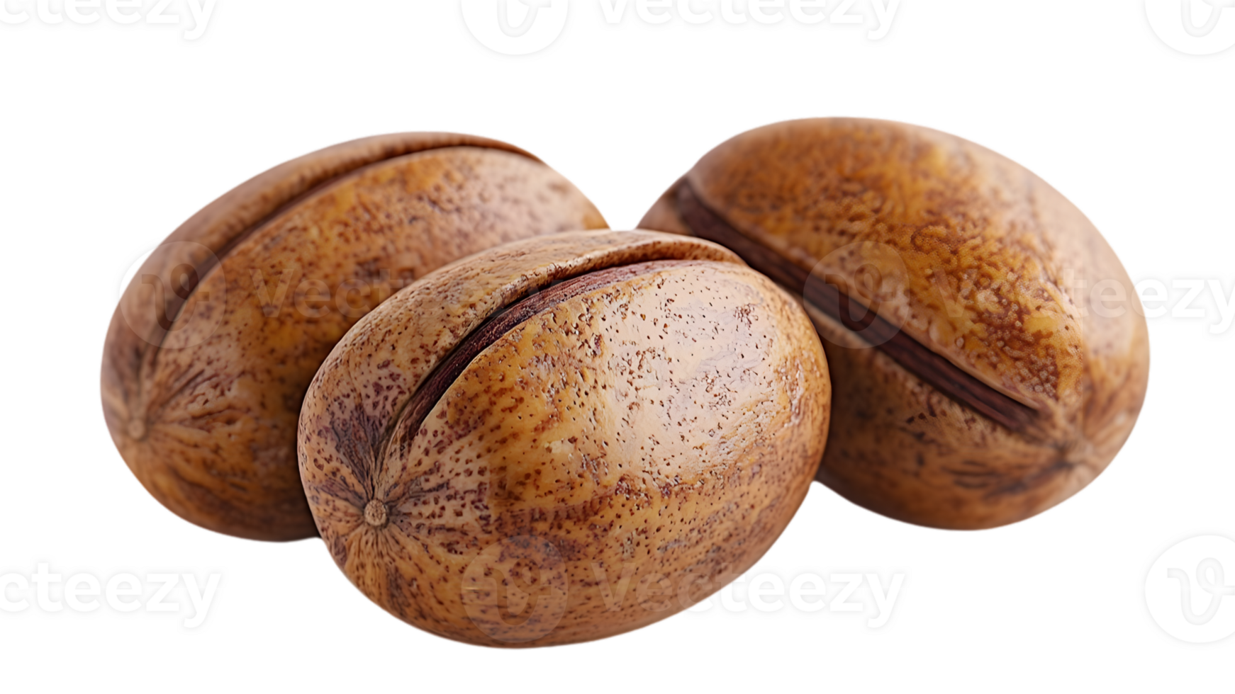 Three Pecan Nuts Close Up png