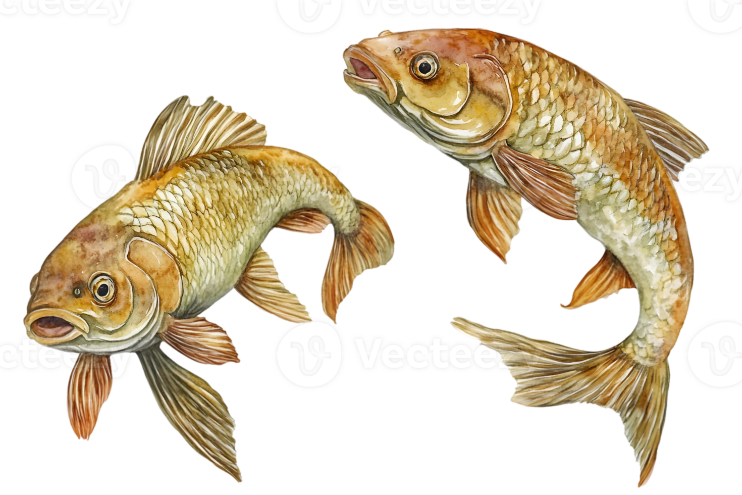 Three Goldfish Illustration With Vivid Colors And Detailed Fin Design png