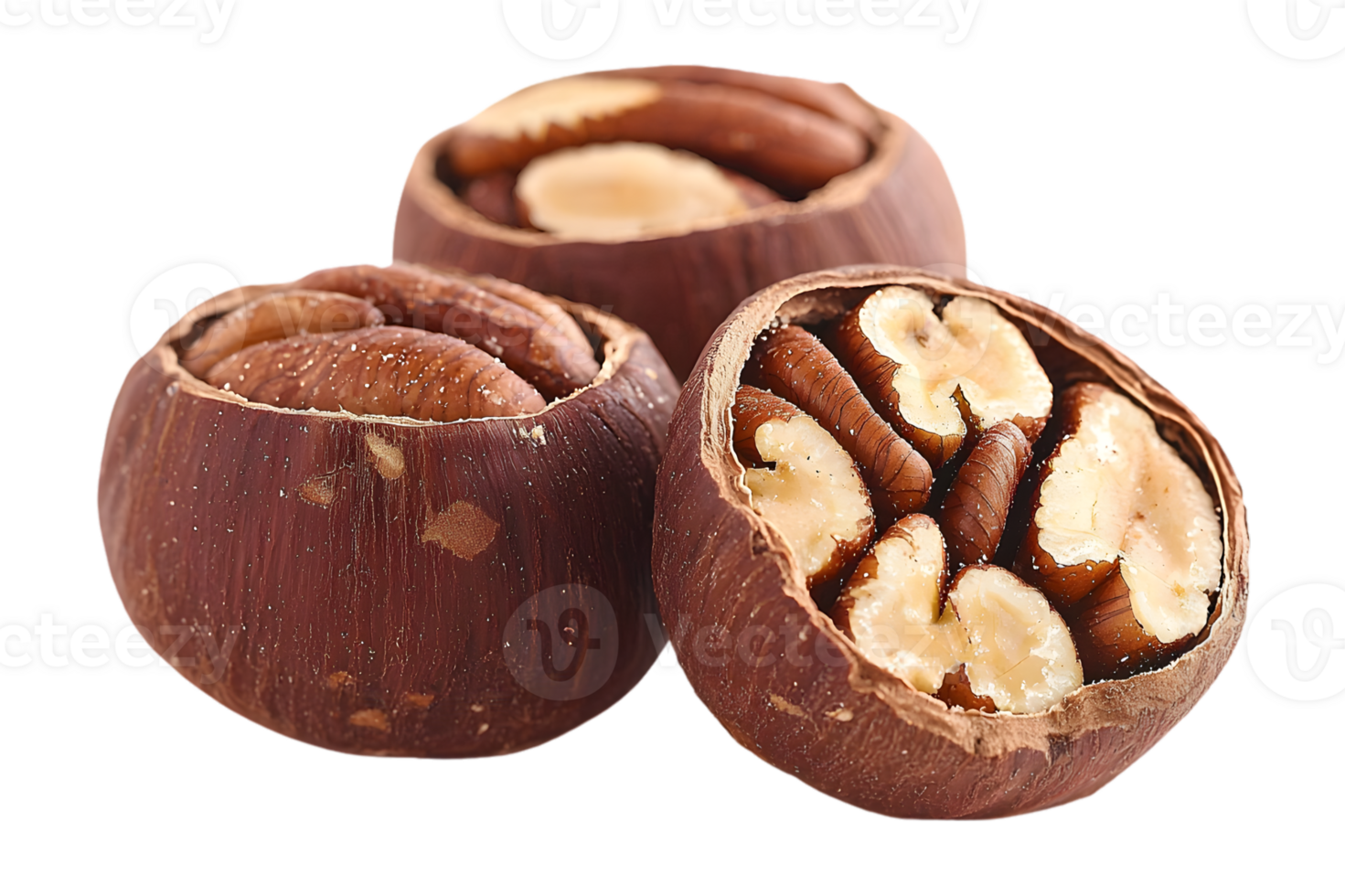 Three Pecan Halves In Shells On Black Background png