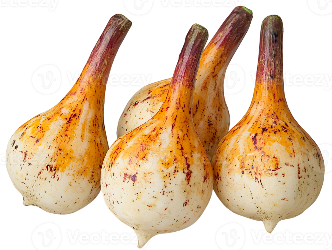 Four Group Of Creamy White Bulbs With Orange Reddish Stems png