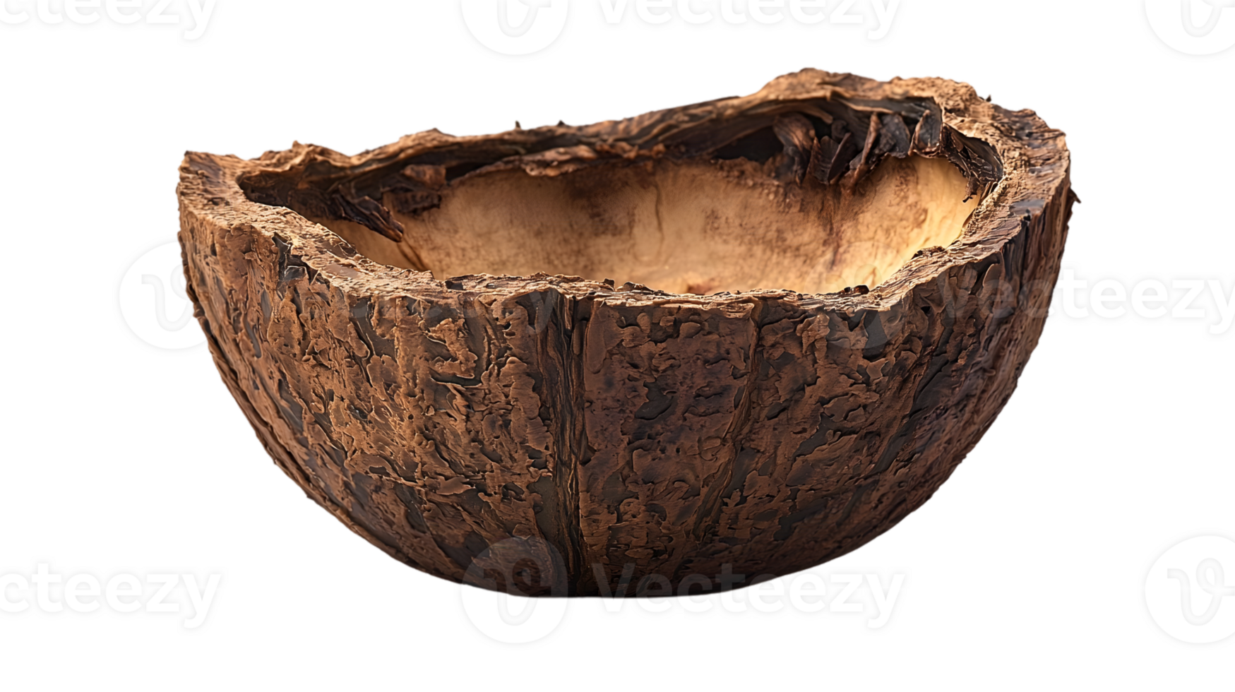 Empty Brown Nut Shell Bowl Closeup png