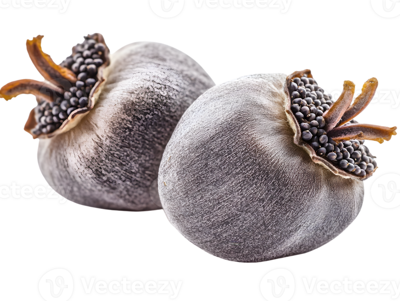 Dried Berries With Seeds On Black Background png