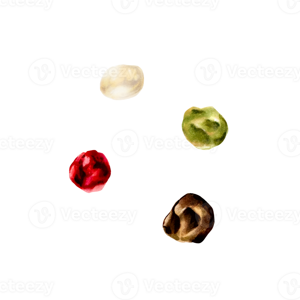 Pepper mix. Black, red, white and allspice. Watercolor hand drawn aromatic seeds, spice illustration isolated on transparent background. For designers, menu, decoration, food blog, ecofriendly png