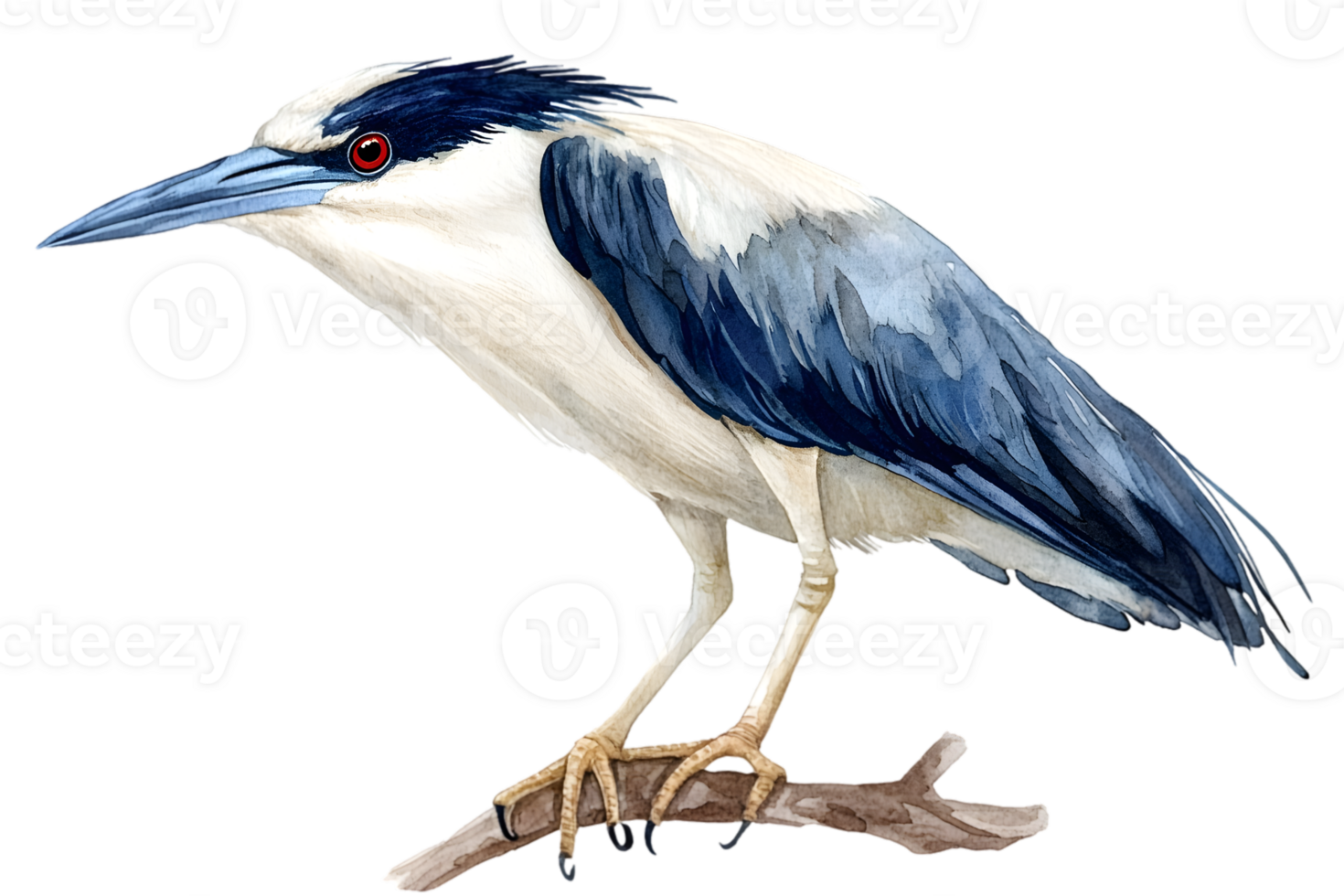 Detailed Illustration Of A White And Blue Heron On A Branch png