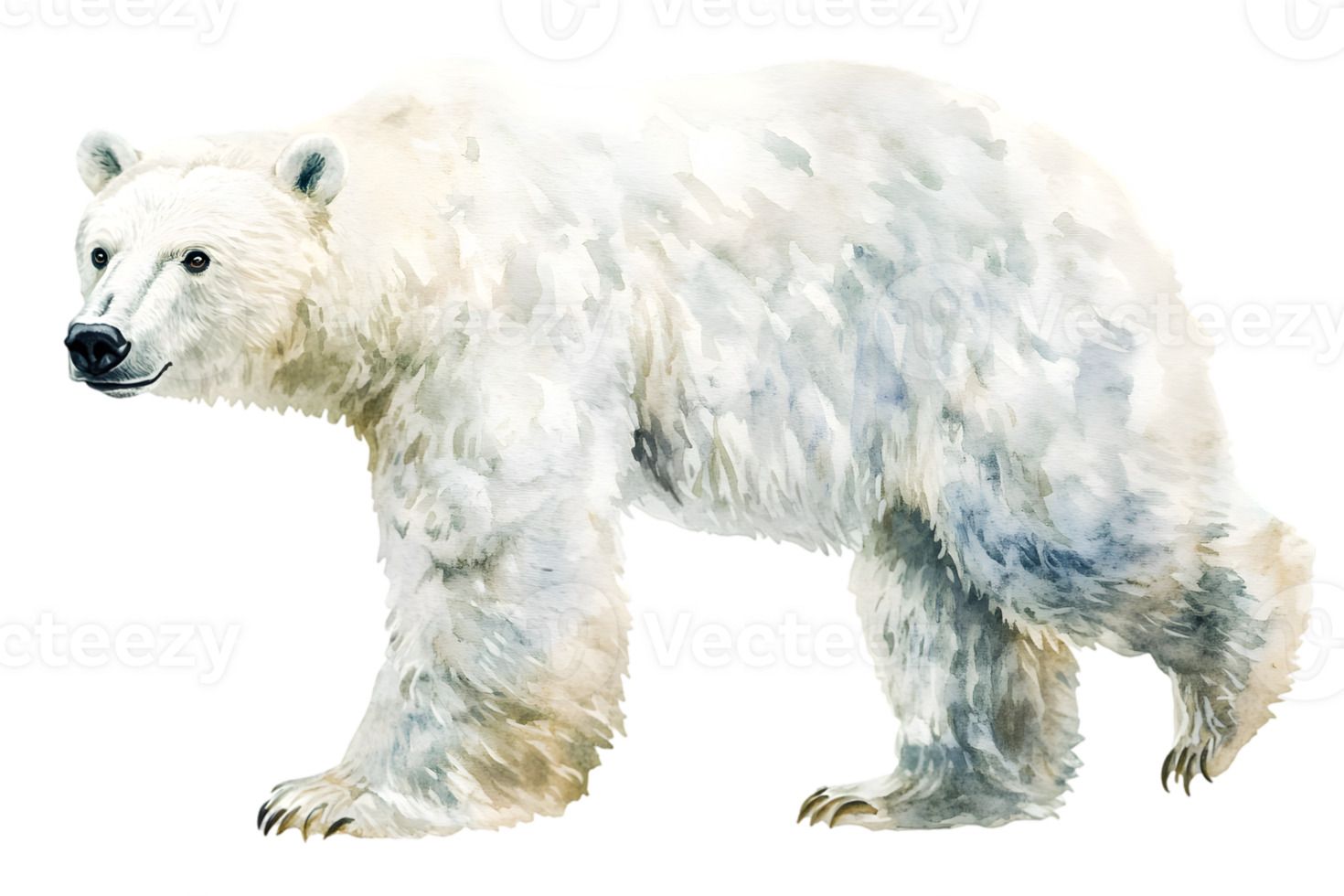 Majestic Polar Bear Watercolor Illustration png