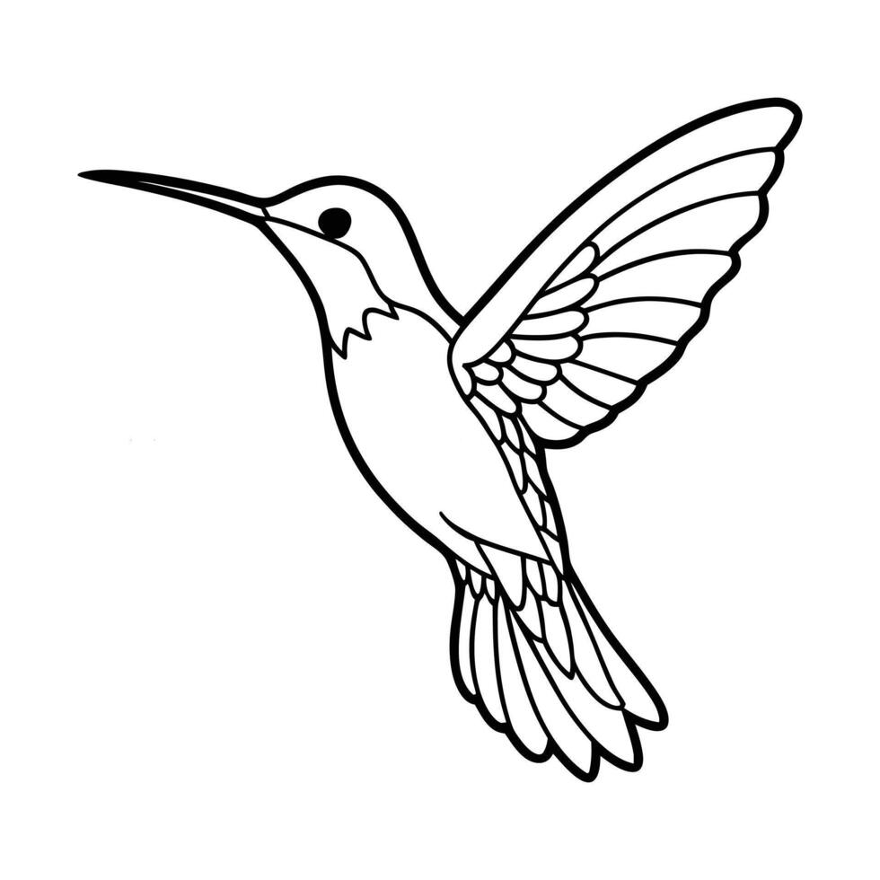 Beautiful Hummingbird Outline Illustration for Coloring Book vector
