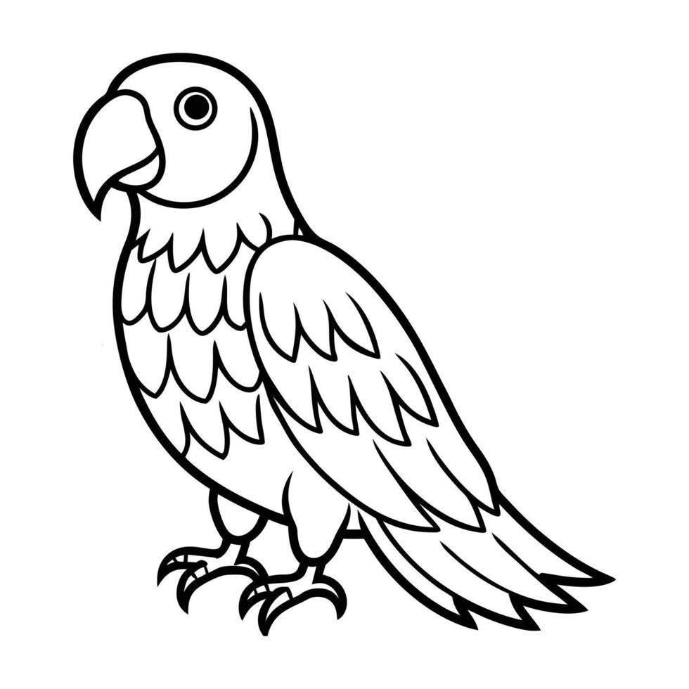 Tropical Parrot Outline Illustration for Coloring Book vector