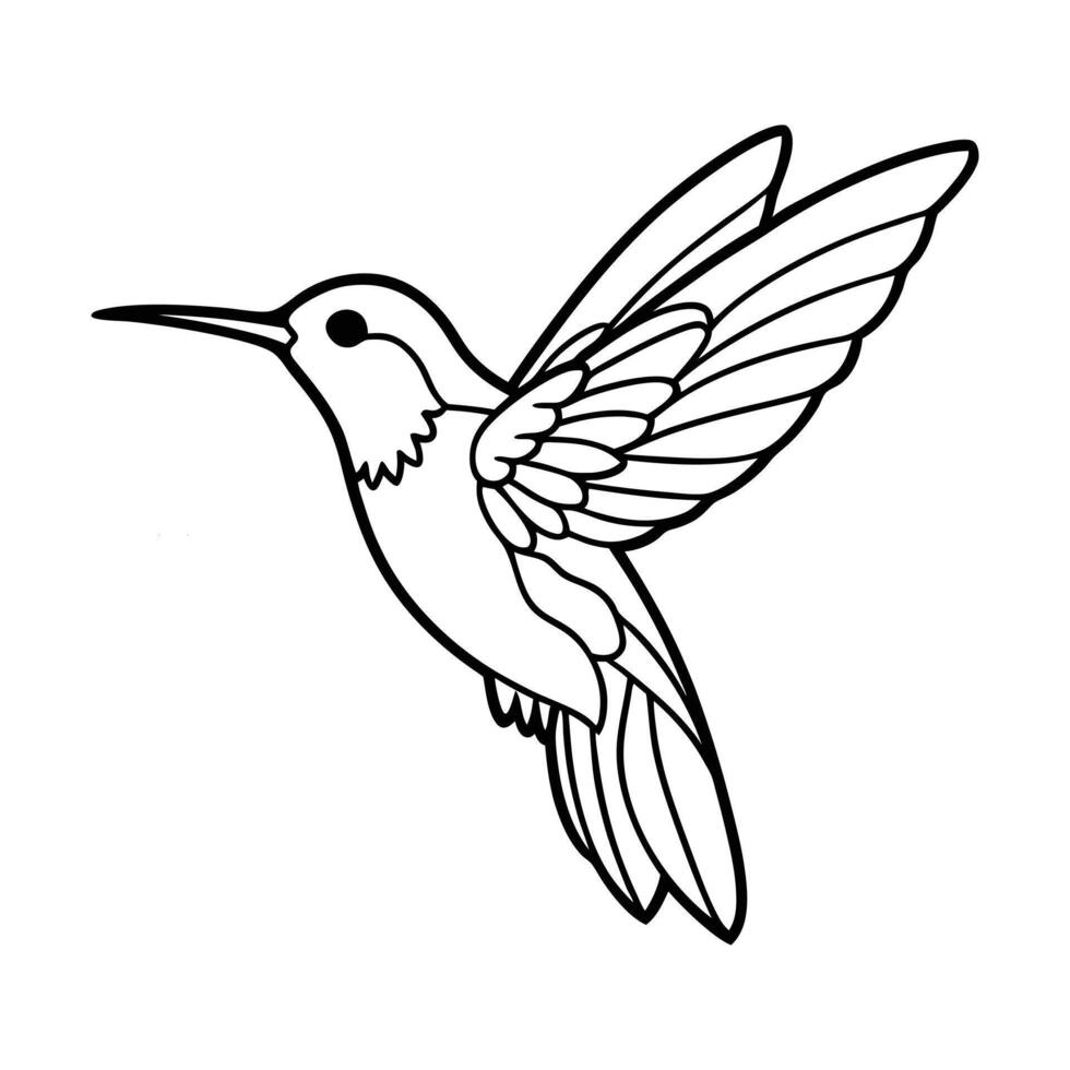 Hummingbird Outline Illustration for Coloring Book vector