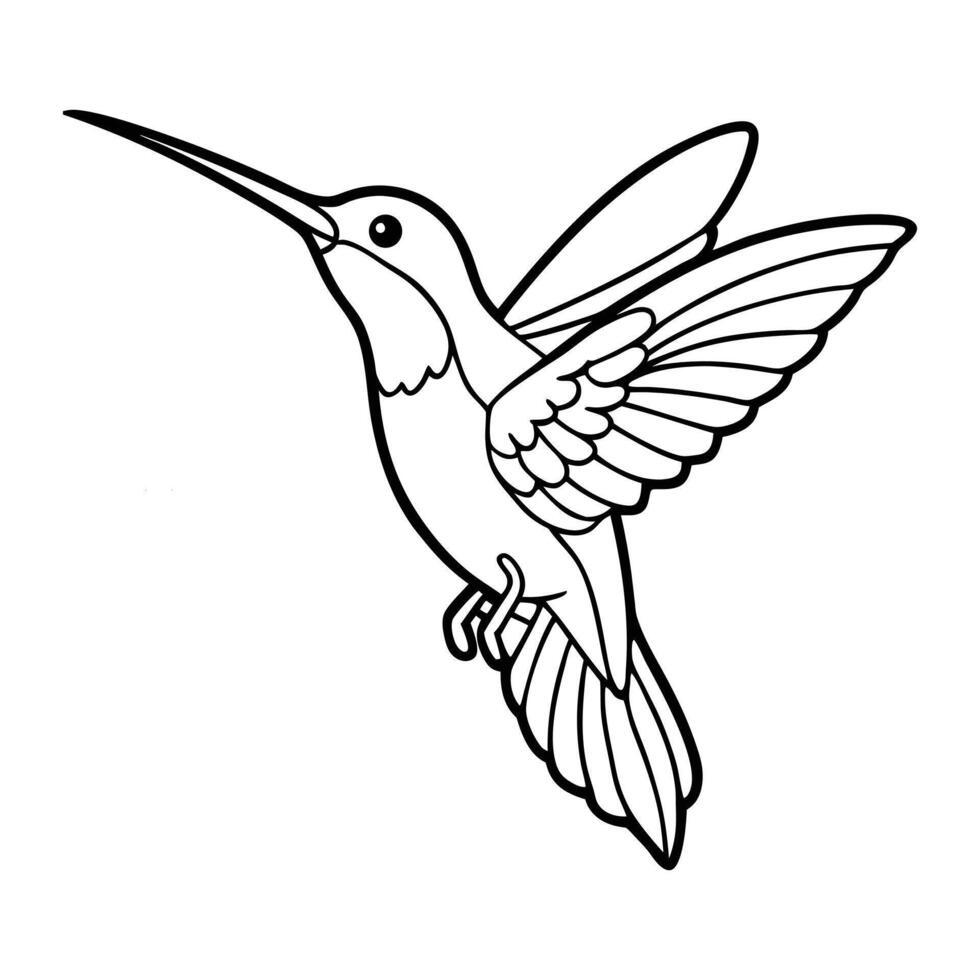 Hummingbird Outline Illustration for Coloring Book Flying Bird Line Art for Kids and Adults vector
