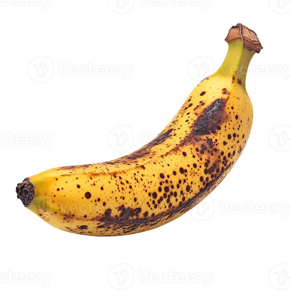 Aging Banana with Spotted Yellow Peel and Browning Stem Isolated on Transparent Background png