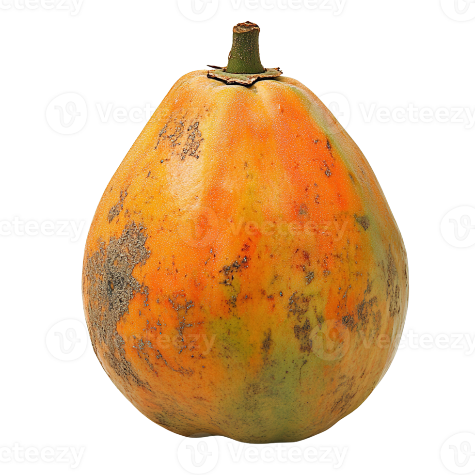 Whole Ripe Papaya Fruit with Orange Skin Texture Isolated on Transparent Background png