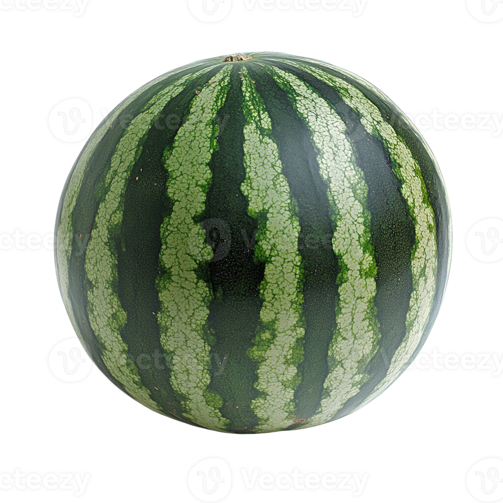 Fresh Whole Watermelon with Striped Green Skin Isolated on Transparent Background png