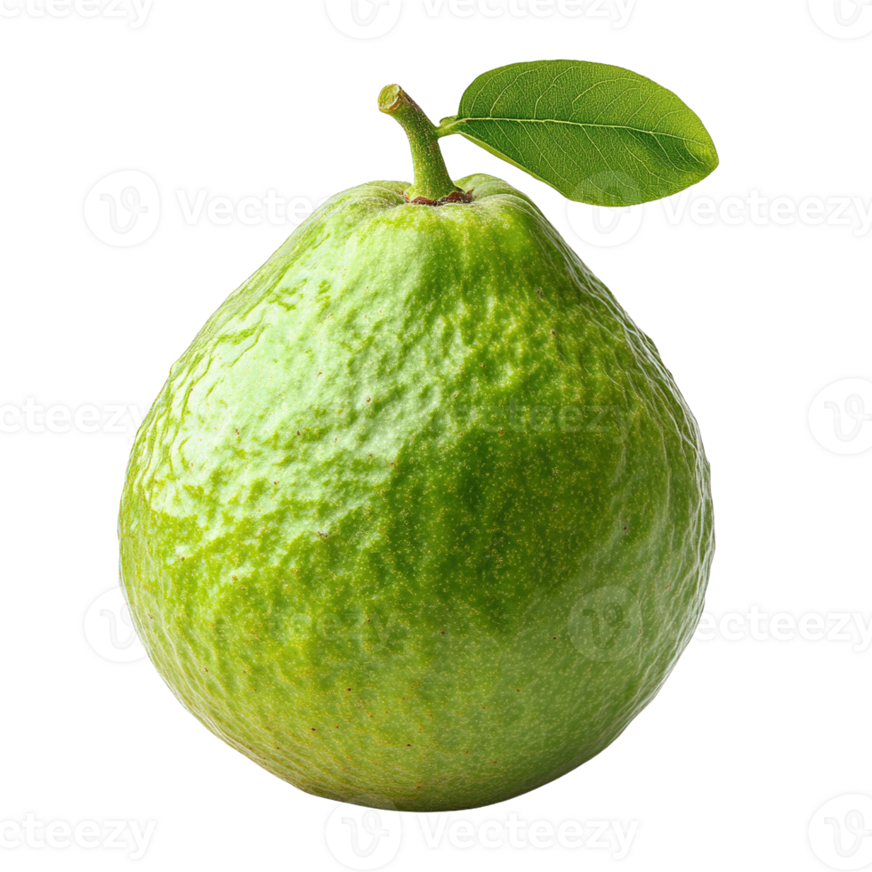 Isolated Green Guava with Natural Texture and Leaf Showing Freshness png