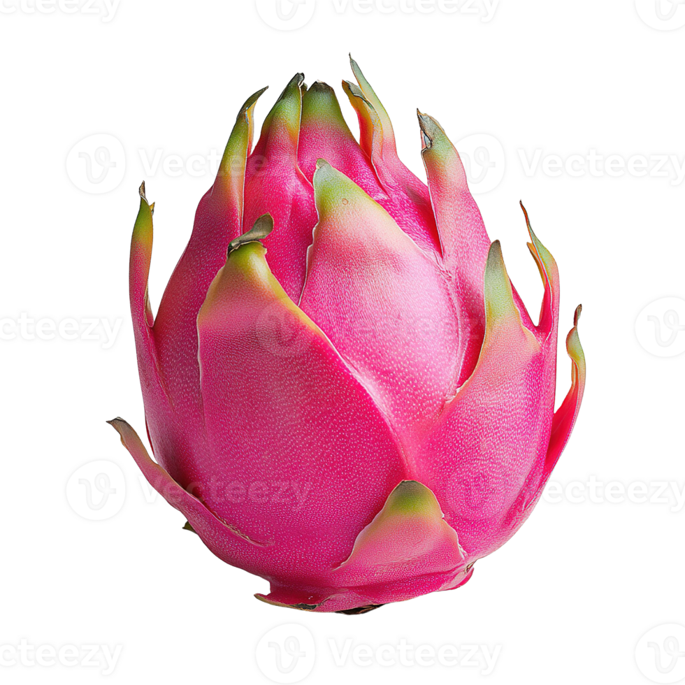 Exotic Pitaya Fruit with Bright Colors Isolated on Transparent Background png
