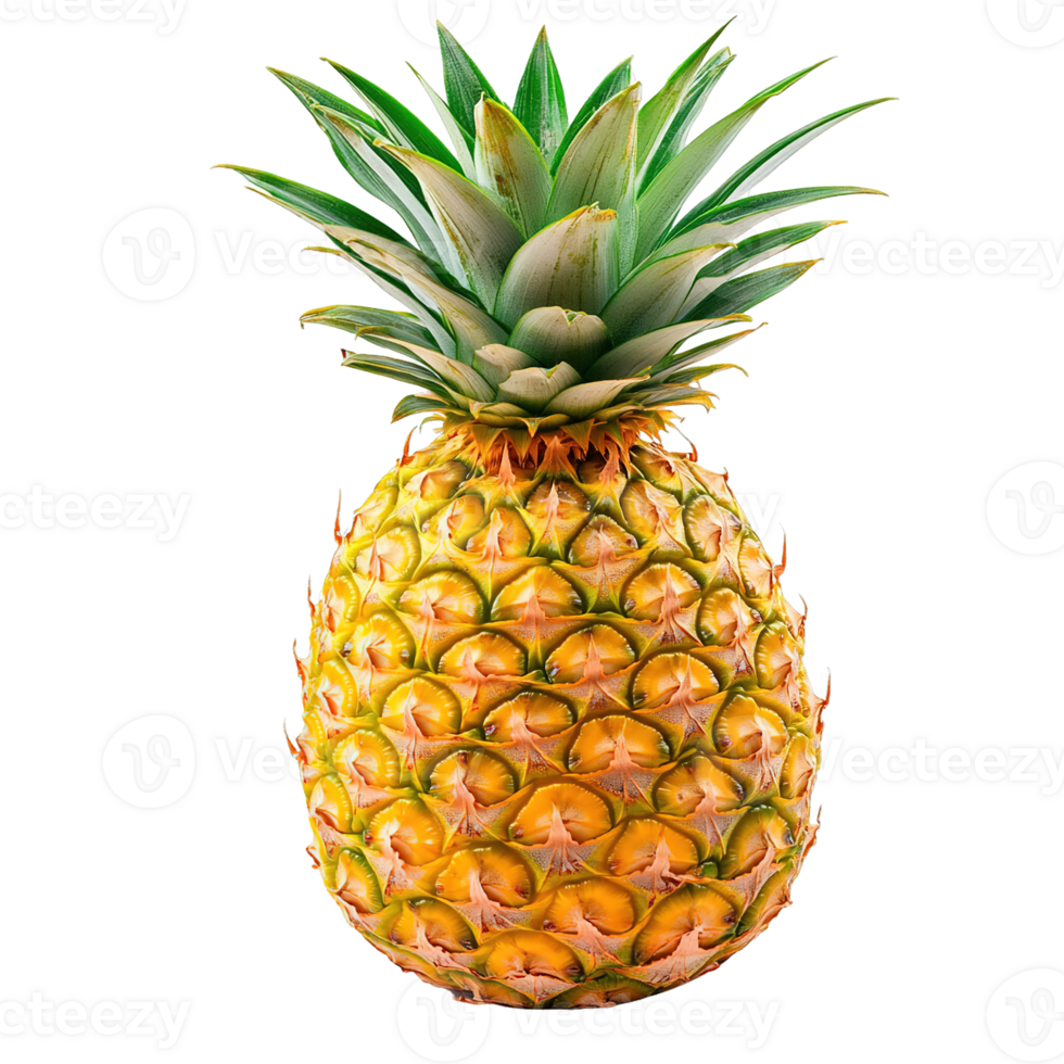Fresh Juicy Pineapple with Golden Yellow Peel and Lush Green Crown Isolated on Transparent Background png