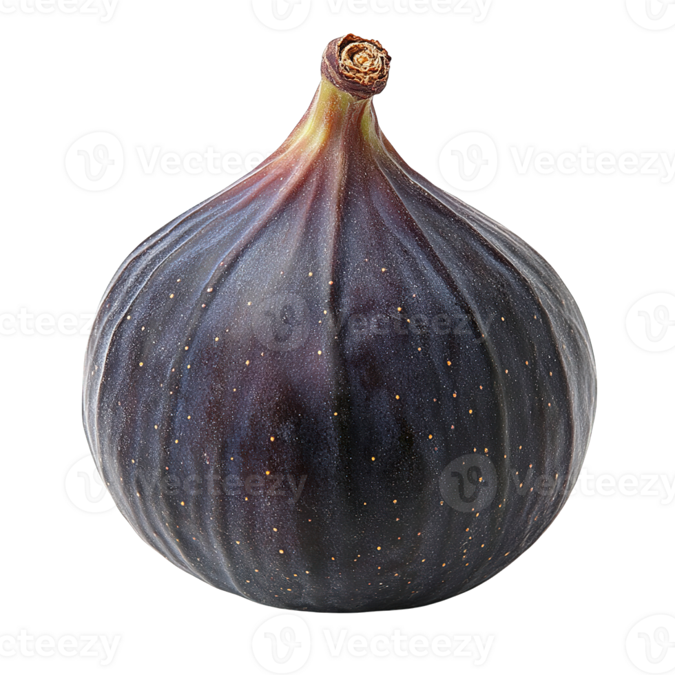 Fresh Organic Fig with Smooth Dark Purple Surface Isolated on Transparent Background png