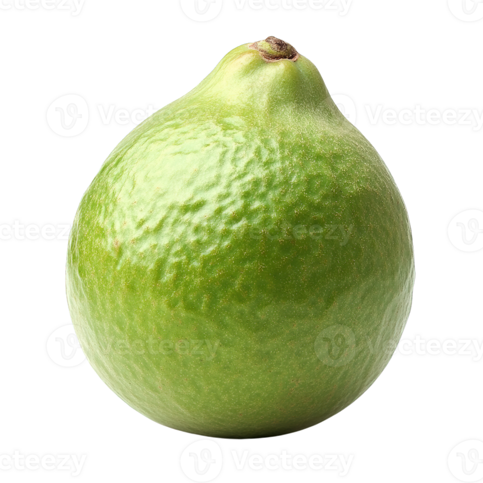 Vibrant Green Guava with Smooth Skin Isolated on Transparent Background png