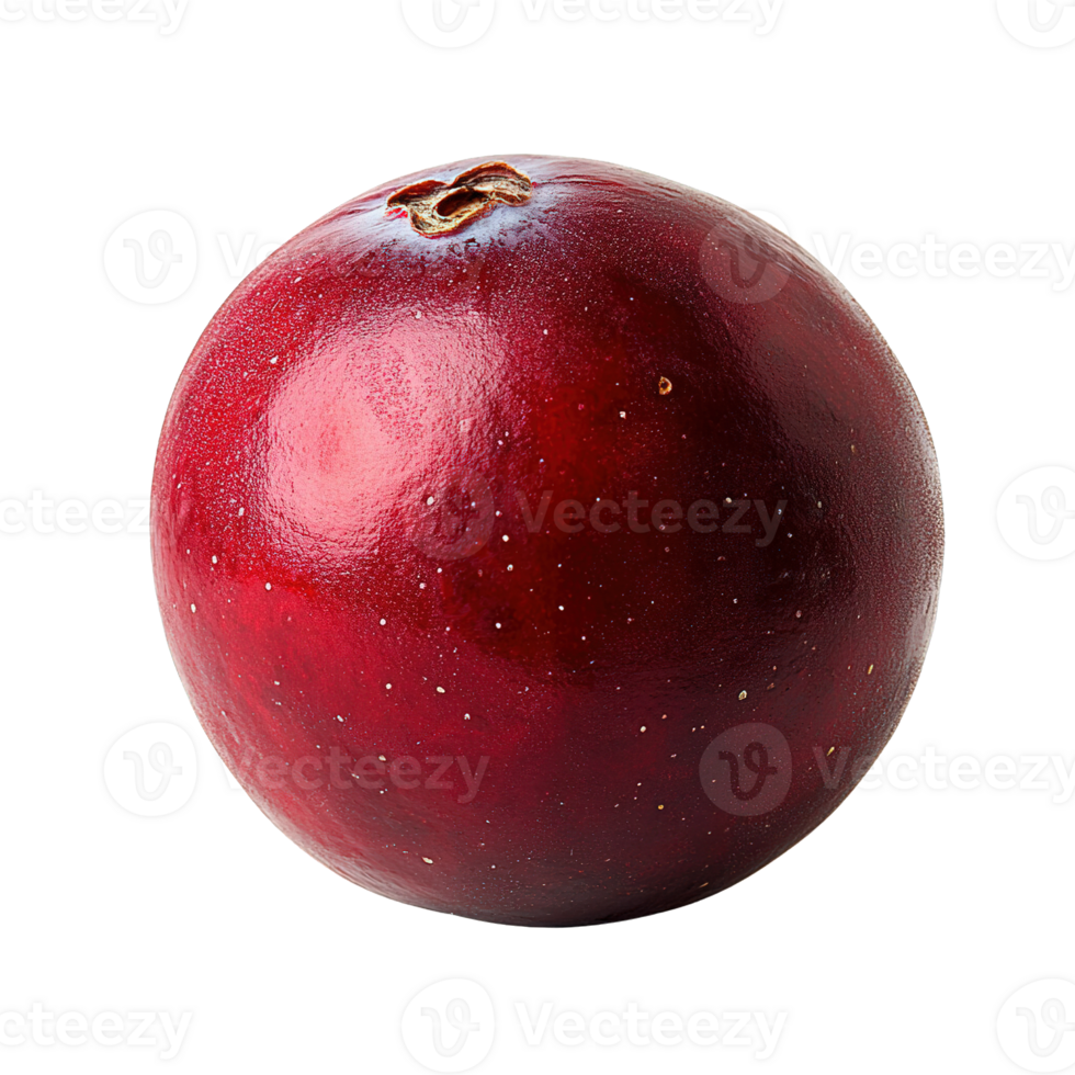 Fresh Cranberry with Shiny Skin Isolated on Transparent Background png