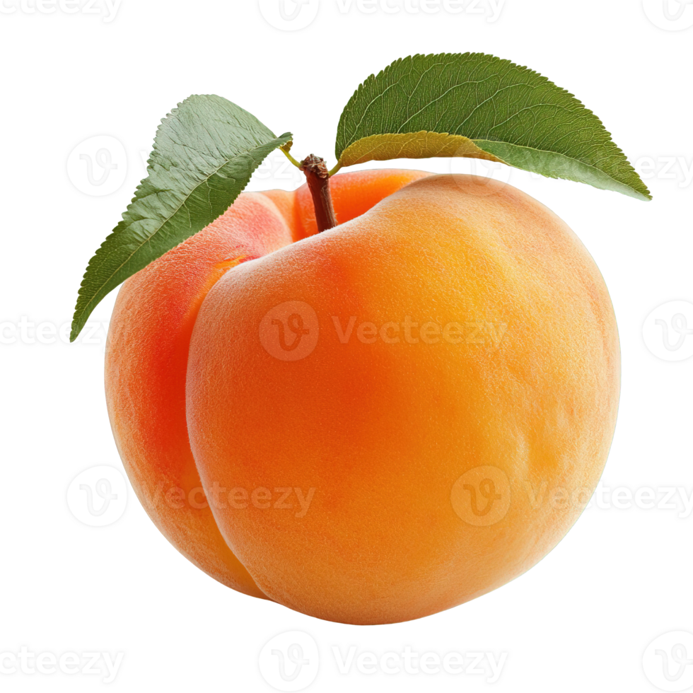 Delicious Apricot with Leaf and Stem Isolated on Transparent Background png