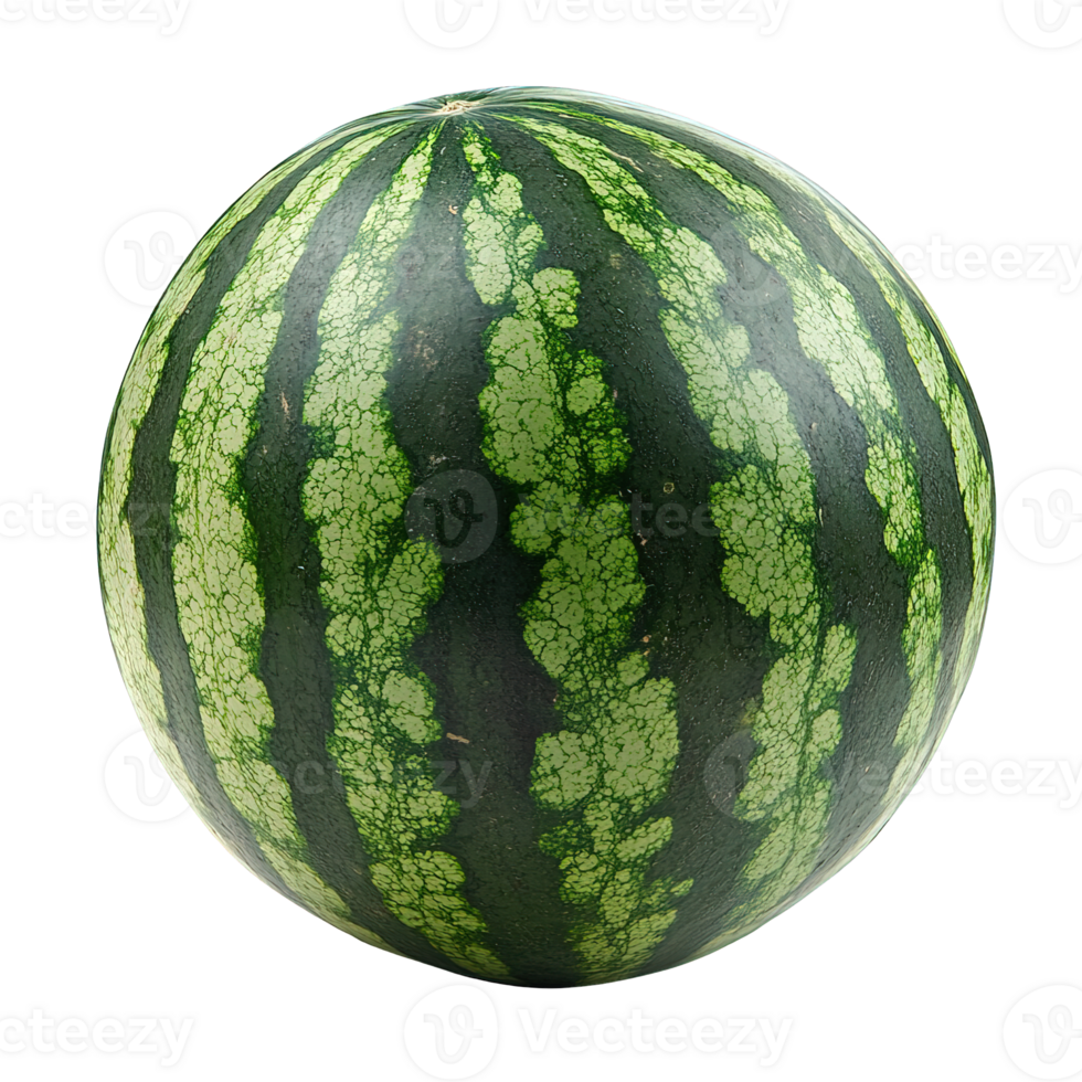 Ripe Watermelon with Dark and Light Green Patterned Rind Isolated on Transparent Background png