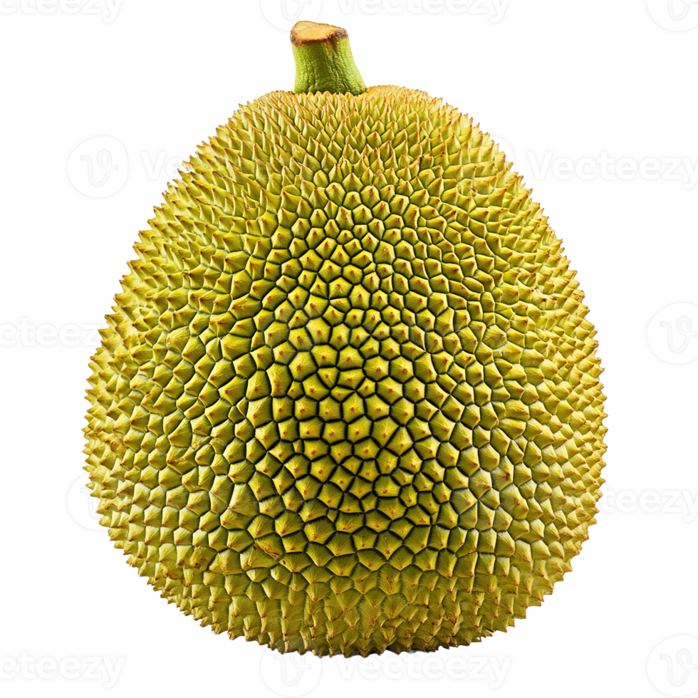Delicious Ripe Jackfruit with Rough Patterned Skin and Yellowish-Green Tone Isolated on Transparent Background png