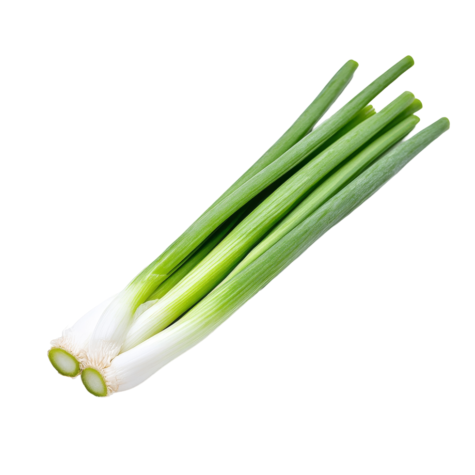 Freshly sliced green onion on a transparent background, highlighting its vibrant colors and crisp texture, green onion slice on transparent background png