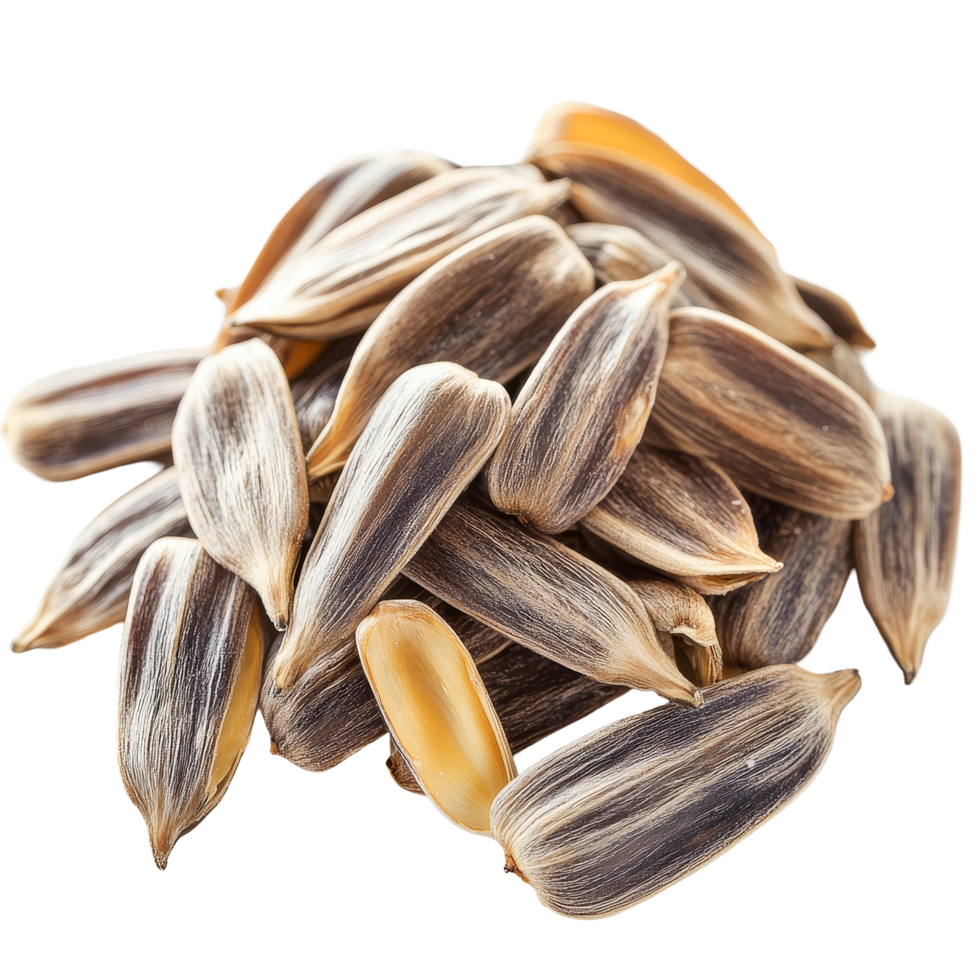 Peeled sunflower seeds displayed clearly against a transparent background for culinary use and nutritional benefits, Peeled Sunflower seeds isolated on transparent background png