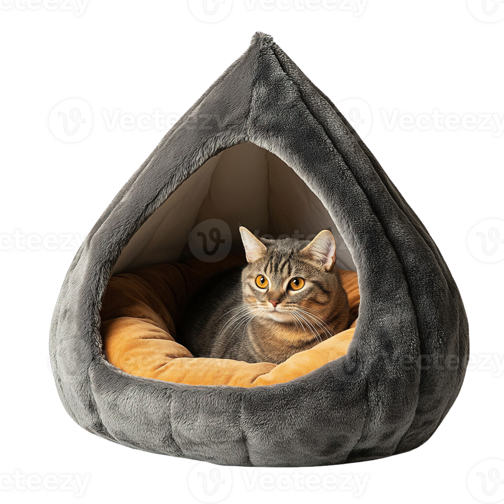 Cute Cat Lounging in Plush Enclosed Pet Bed Providing Warmth and Comfort on Transparent Background png