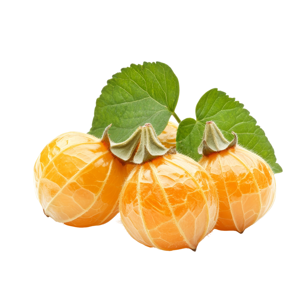 Fresh cape gooseberries isolated on a transparent background showcasing their vibrant yellow color and leaves, Cape Gooseberry isolated on transparent background png