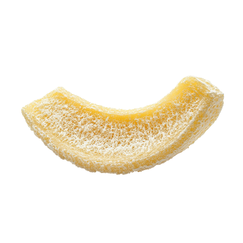 Angled loofah slice placed on a transparent background, showcasing its natural texture and shape, Angled loofah slice isolate on transparent background png