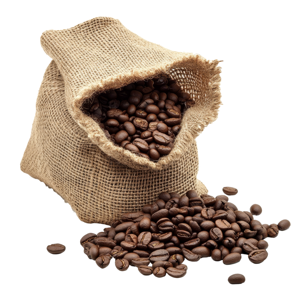 Freshly harvested coffee beans spilled from a burlap sack on a transparent background, Coffee beans spilled out from burlap sack Stock Photo png
