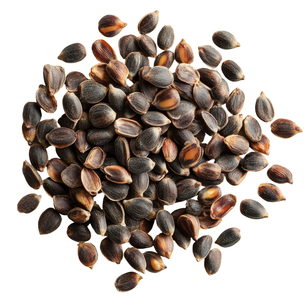 Sato seeds displayed on a transparent background highlighting unique shapes and textures for agricultural and gardening use, Sato seeds isolated on transparent background png
