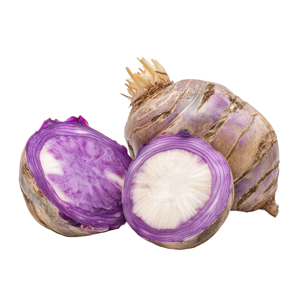 Fresh taro root on a transparent background with a crosssection revealing vibrant purple and transparent flesh, taro isolated on transparent background png