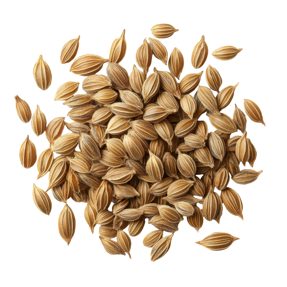Dill seeds arranged on a transparent background showcasing their unique shape and texture, dill seeds isolated on transparent background png