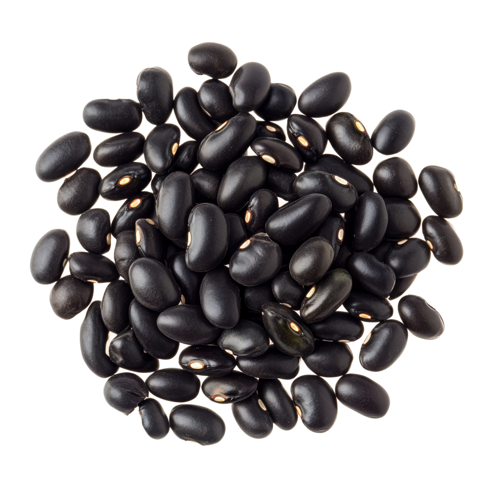 Organic green kernel black beans on transparent background showcasing their rich color and texture, Close up of organic green kernel black bean isolated on transparent Clipping path included png