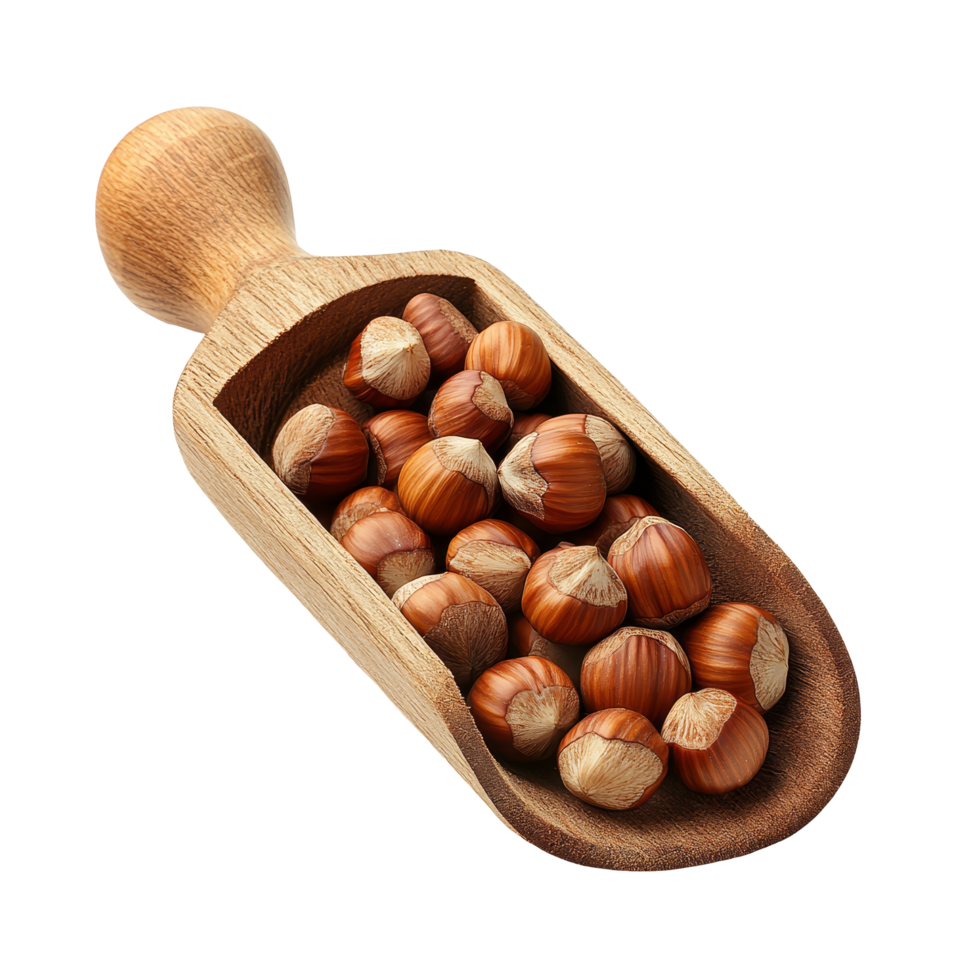 Hazelnuts in a wooden scoop on a clean transparent background, showcasing their natural texture and shape, hazelnuts in wood scoop on transparent background png