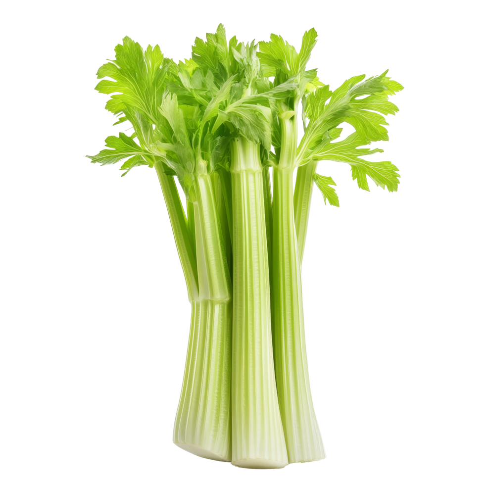 Fresh celery stalks arranged against a clean transparent background highlighting their vibrant green color and crisp texture, Fresh celery isolated on transparent background png