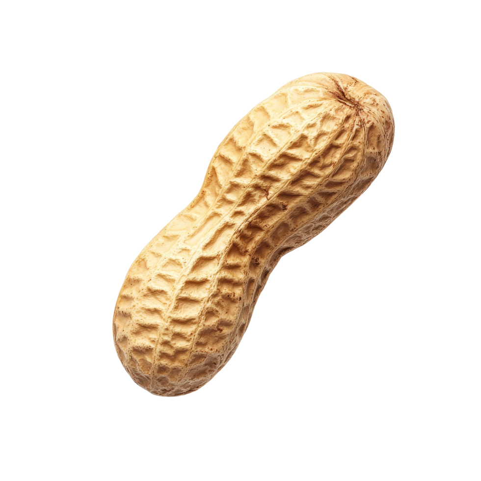Single peanut isolated on a clear transparent background showcasing its natural texture and shape, peanut isolated on transparnt transparent background png