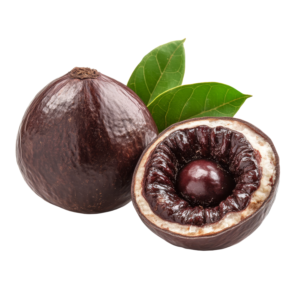 Fresh betel nut on a transparent background with green leaves, showcasing its natural color and texture, Fresh betel nut isolated on transparent background png