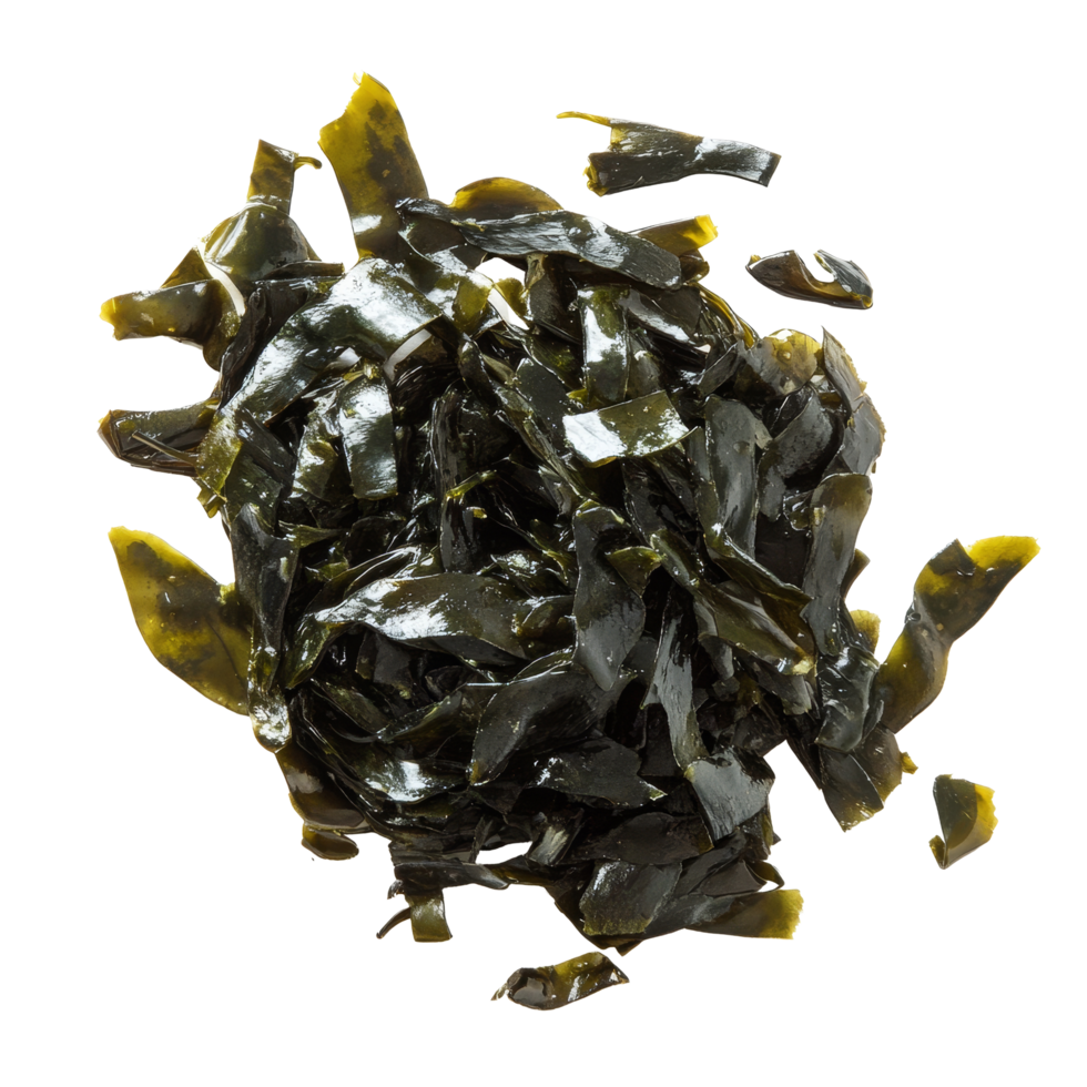 Crispy fried seaweed on a clean transparent background highlighting its texture and color during a culinary presentation, fried seaweed on transparent background png