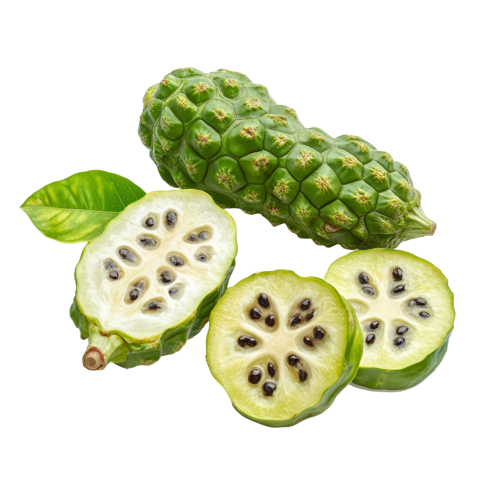 Fresh Noni fruits with sliced sections revealing seeds on a transparent background, Noni or Morinda Citrifolia fruits with sliced on transparent background png