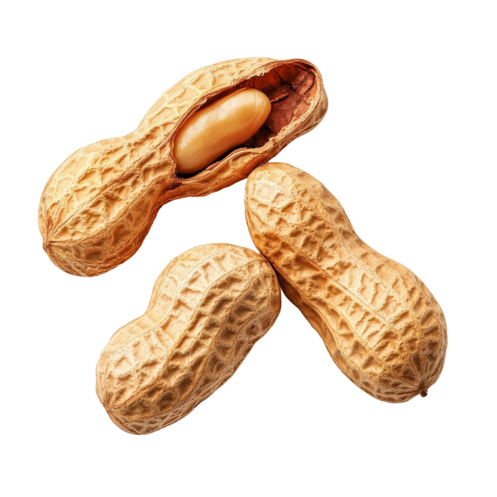 Different angles of raw peanuts in their shells against a transparent background focusing on natural texture and color, Difference angle of peanuts isolated on transparent background png
